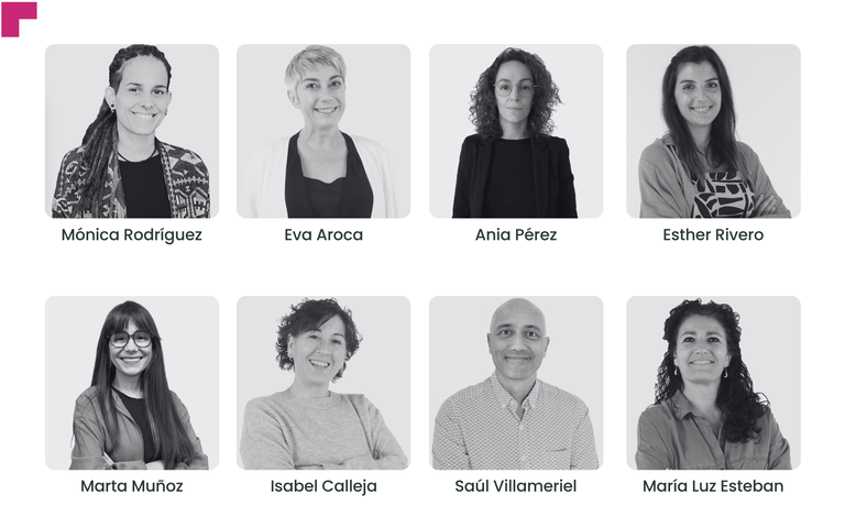 Equipo CNLSE gris.png